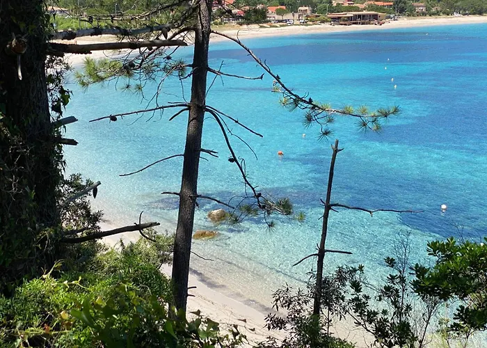 Lagon Bleu- Piscine Privee- Corsu Di Core * Favone